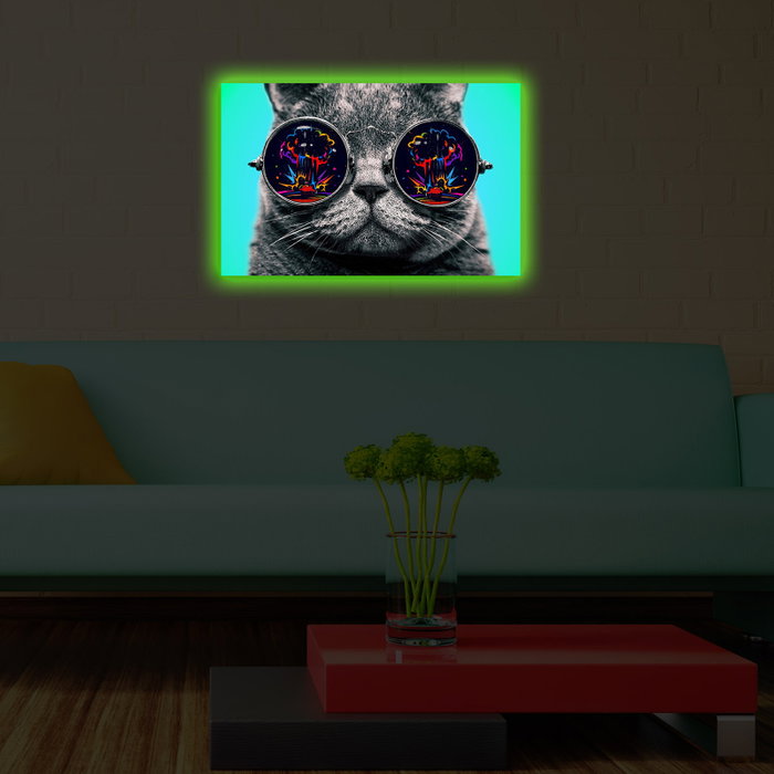 Wallity Lienzo Decorativo Iluminado con LEDs 45x70 cm Multicolor